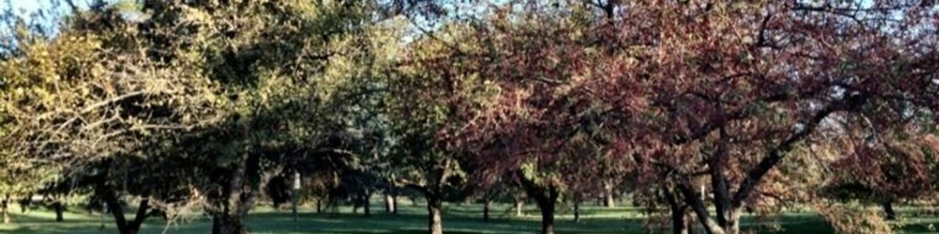 One of the world's largest collections of crab apple trees.
