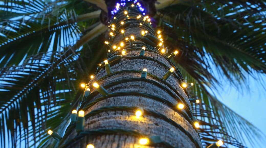 Lauderdale-by-the-Sea