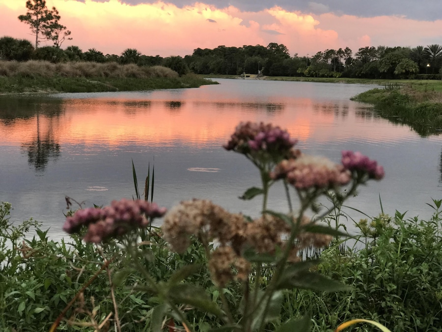 S1ET5N Florida sunset. Palm Beach Gardens