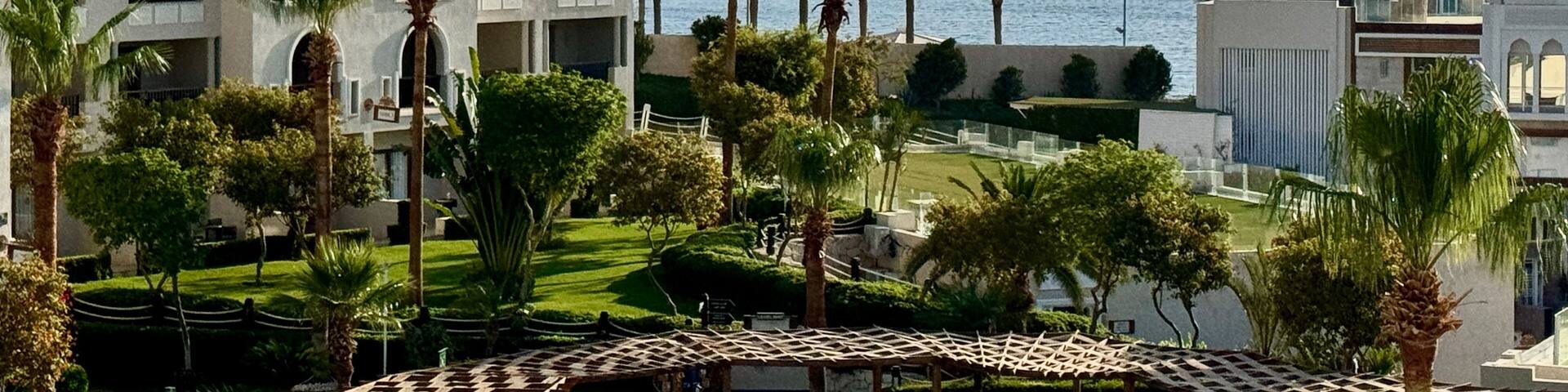 hotel swimming pool with palm trees palm trees and other plants in tropical garden of a resort on the coast of Red Sea