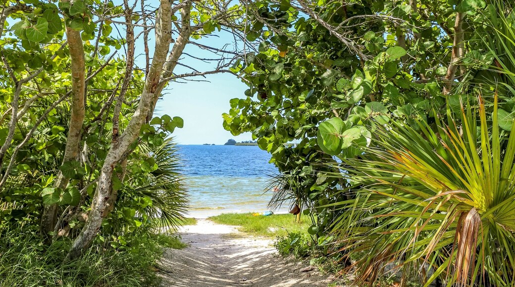 بالم بيتش جاردنز