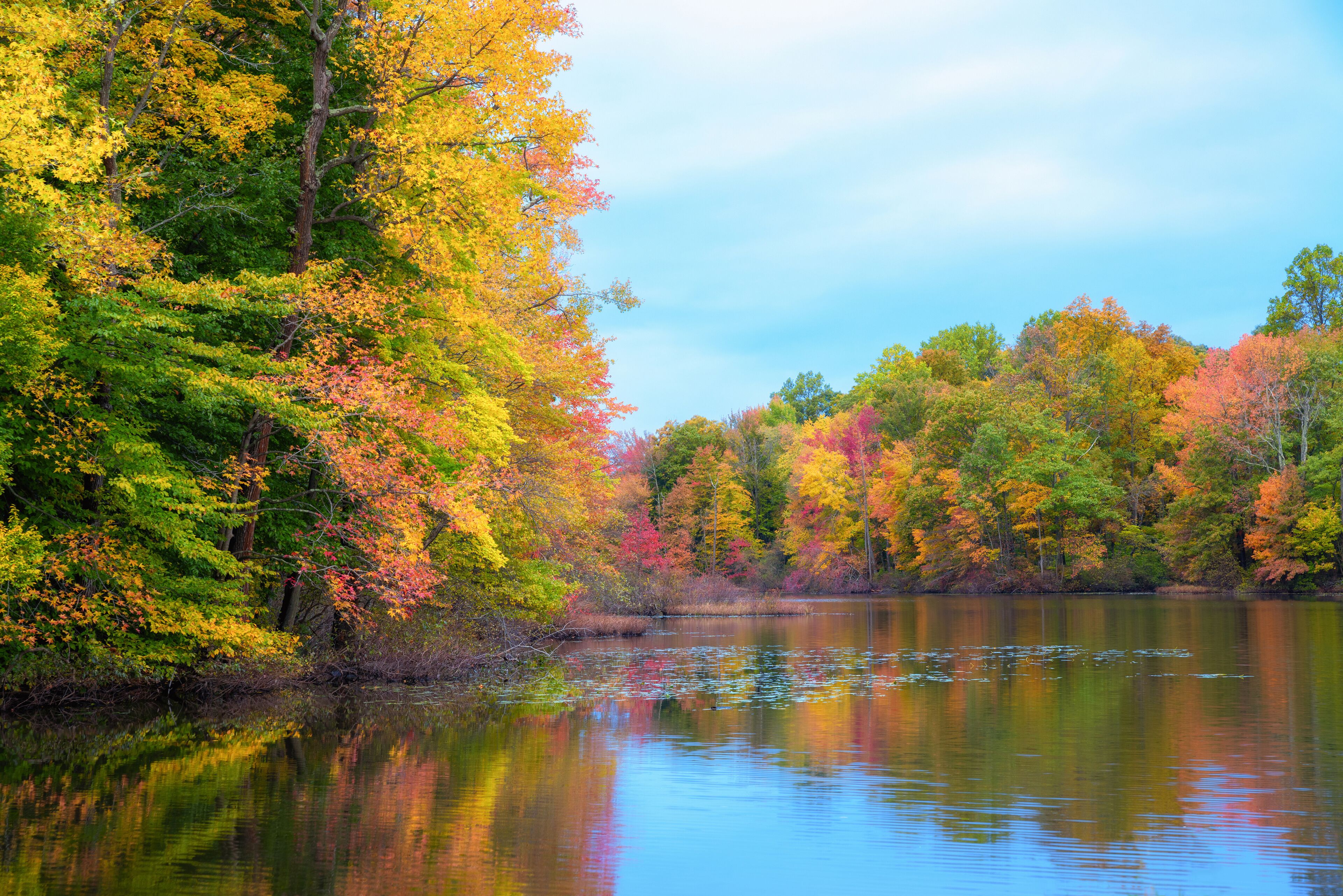 Davidsons Mill Pond fall foliage in New Jersey 
