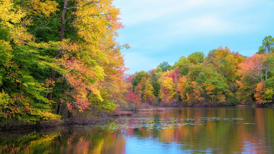 A calm lake surrounded by trees with autumn foliage.