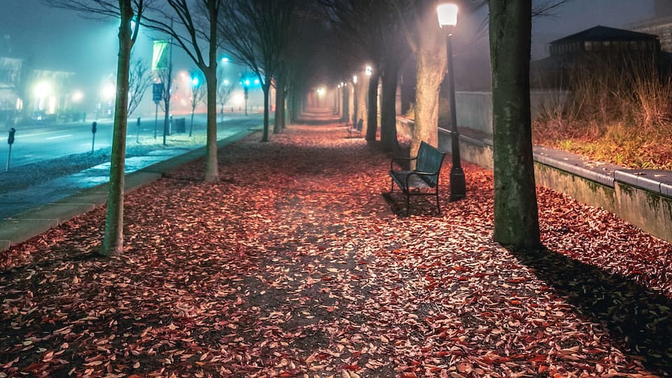 A park pathway lined with trees and benches, covered with fallen leaves, and illuminated by street lamps.