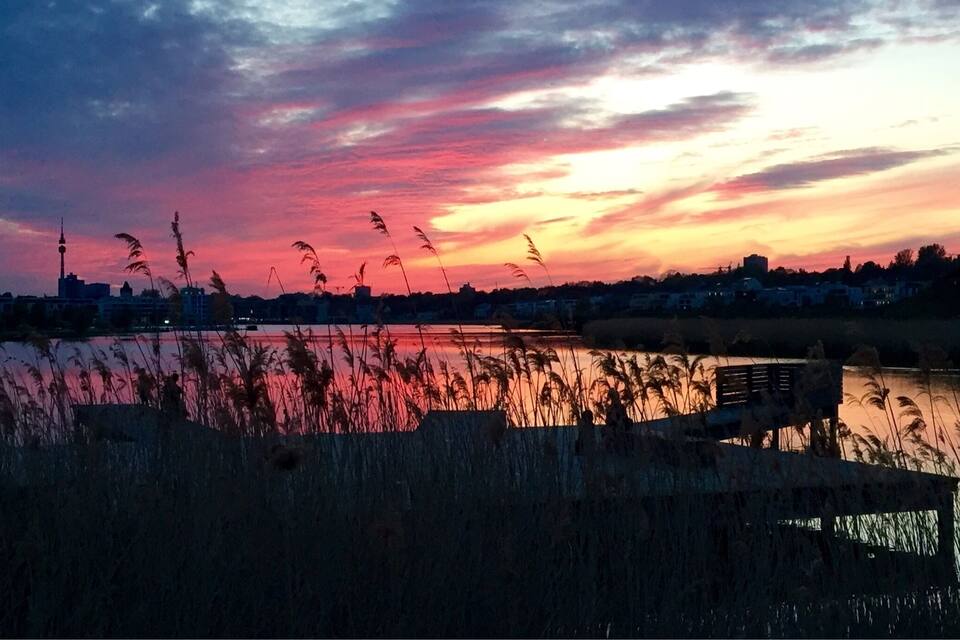 Pôr do sol sobre a água, com juncos em primeiro plano e o horizonte da cidade ao longe.