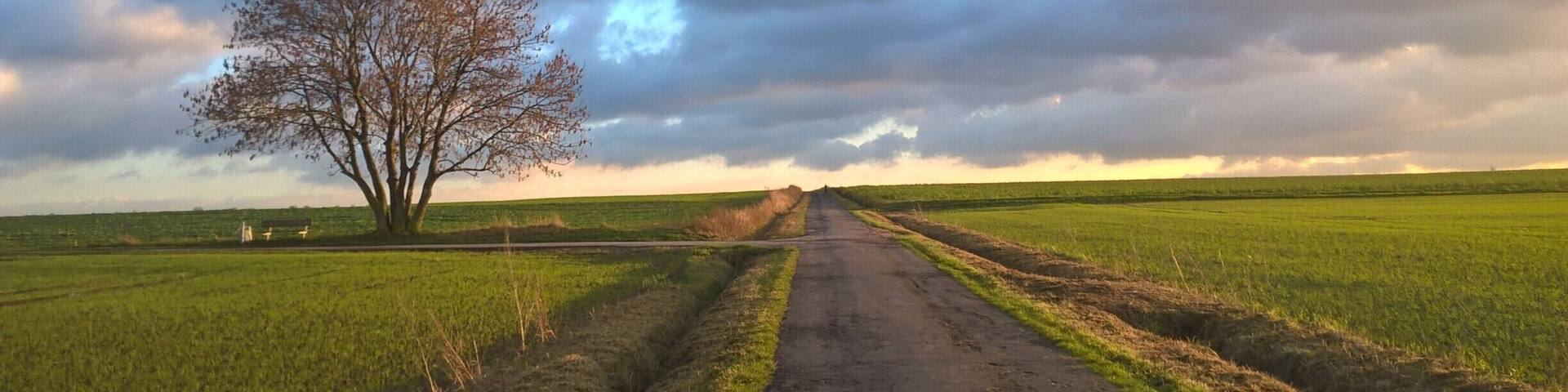 Dortmund, Felder am Flughafen