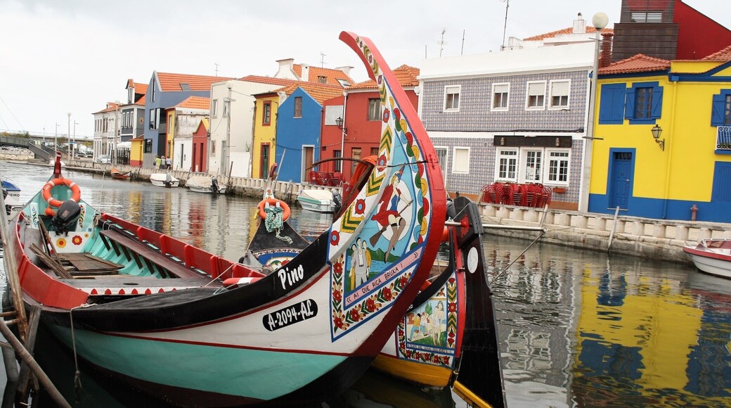 #Portugal has also a "Venice"