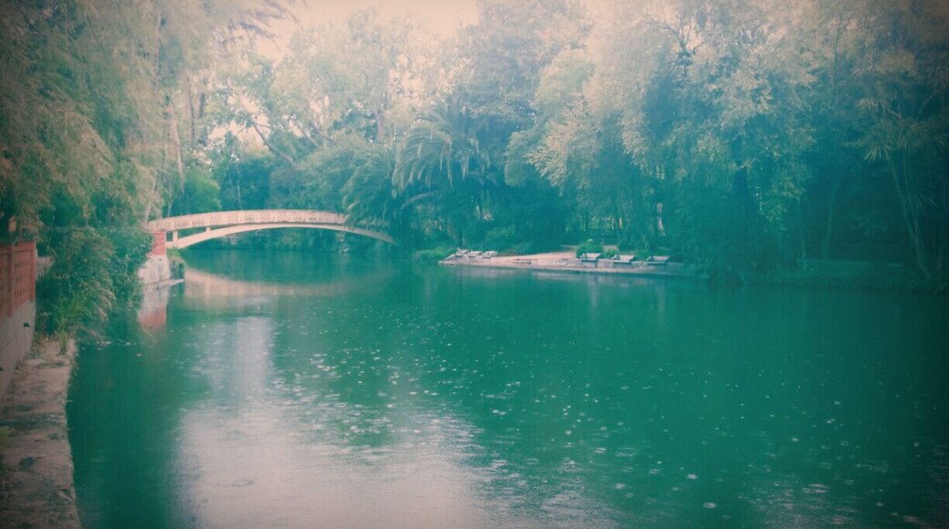 #Park of the city of #Aveiro