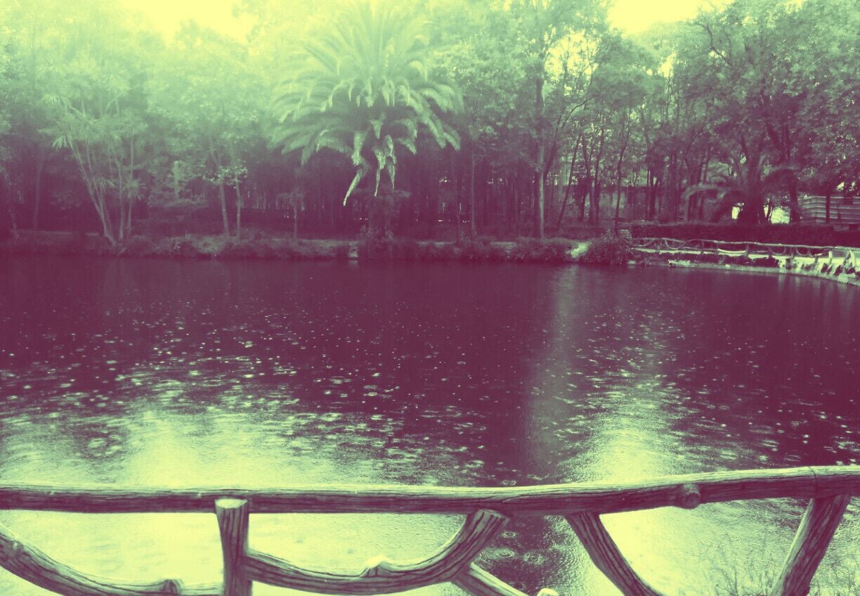 #Park of the city of #Aveiro