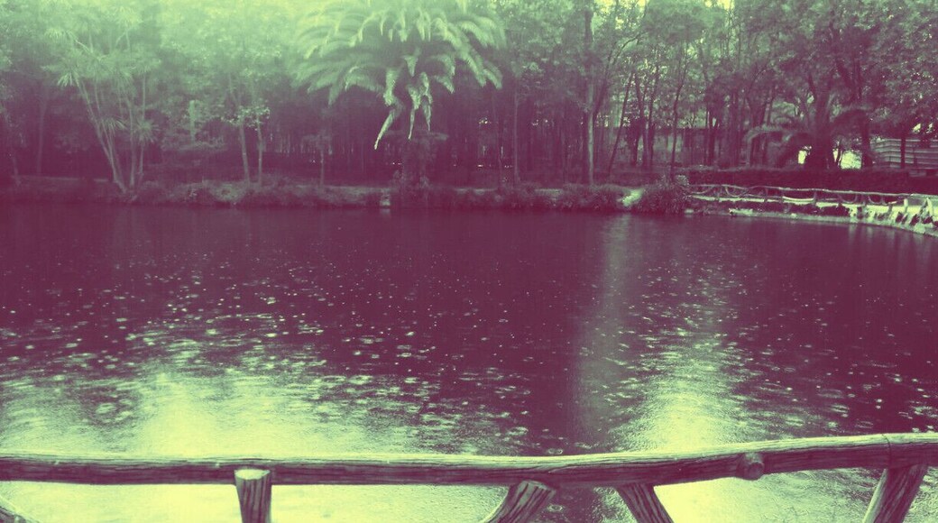 #Park of the city of #Aveiro