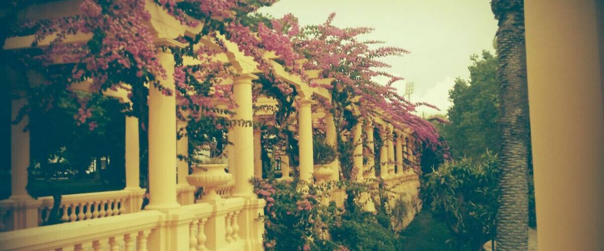 #Park of the city of #Aveiro