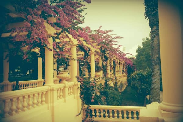 #Park of the city of #Aveiro