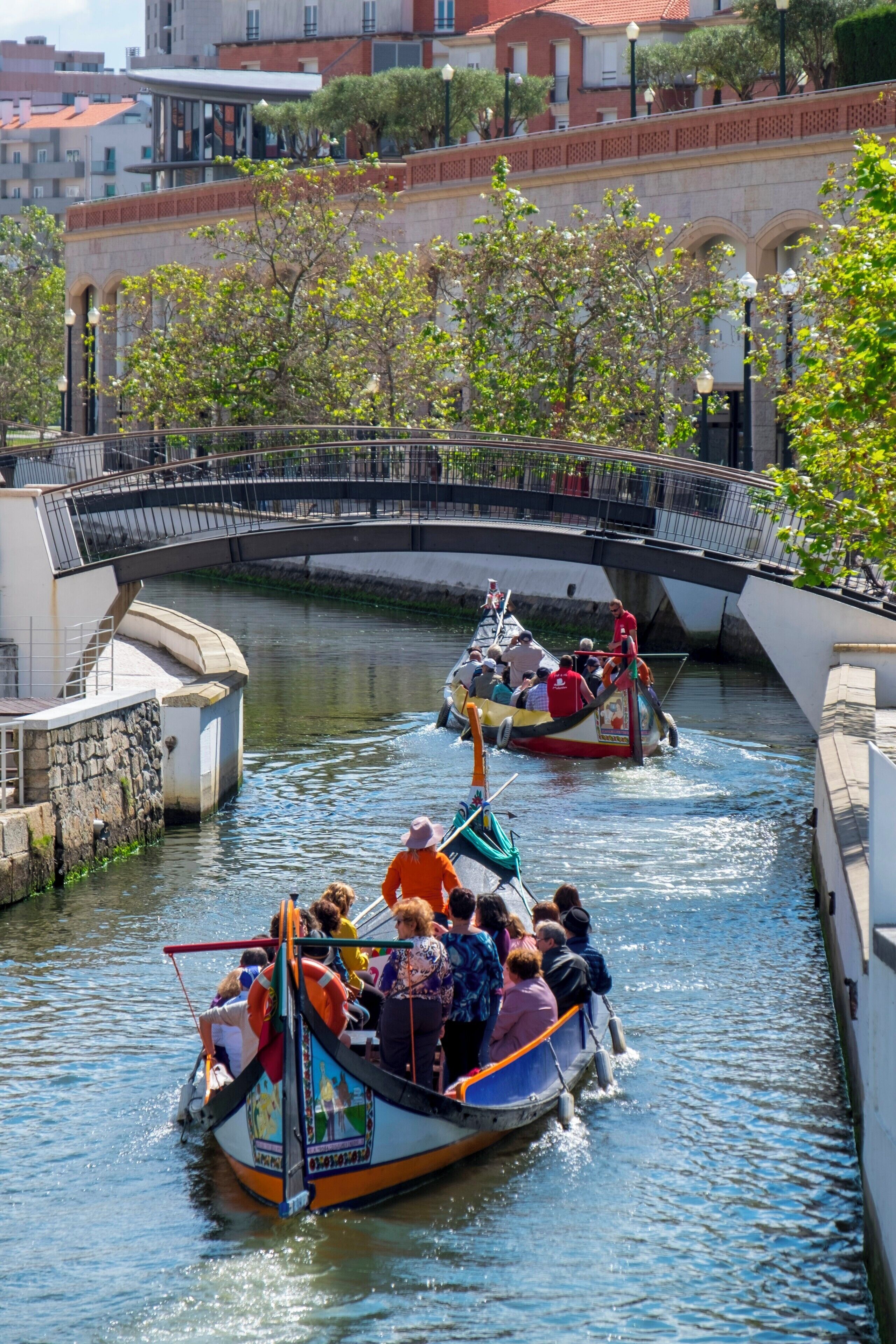 Missing Aveiro, Portugal