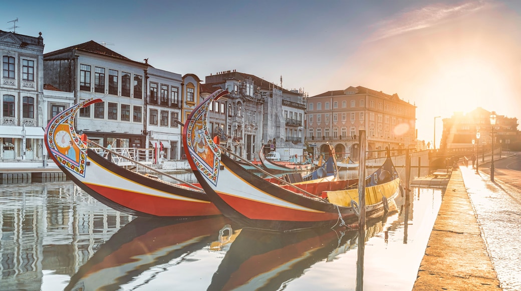 View of the main channel of the Ria de Aveiro in Portugal with the traditional Moliceiros.