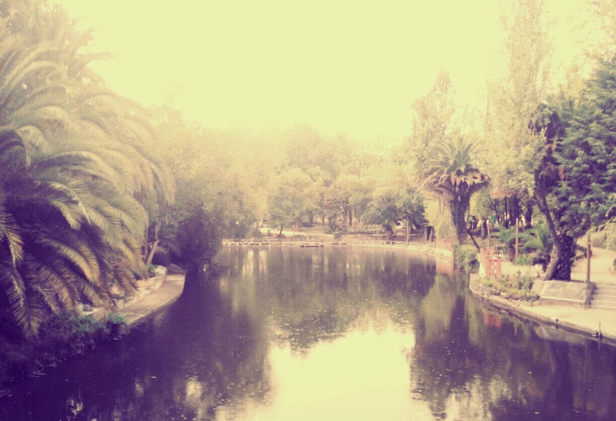 #Park of the city of #Aveiro