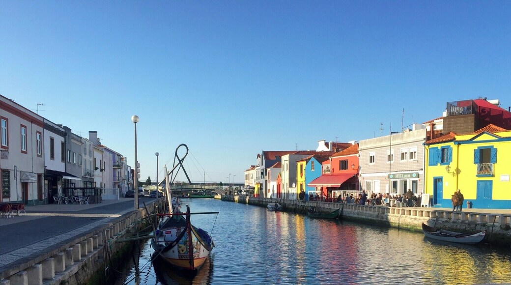 Aveiro is known as the Venice of Portugal due to all the canals.
