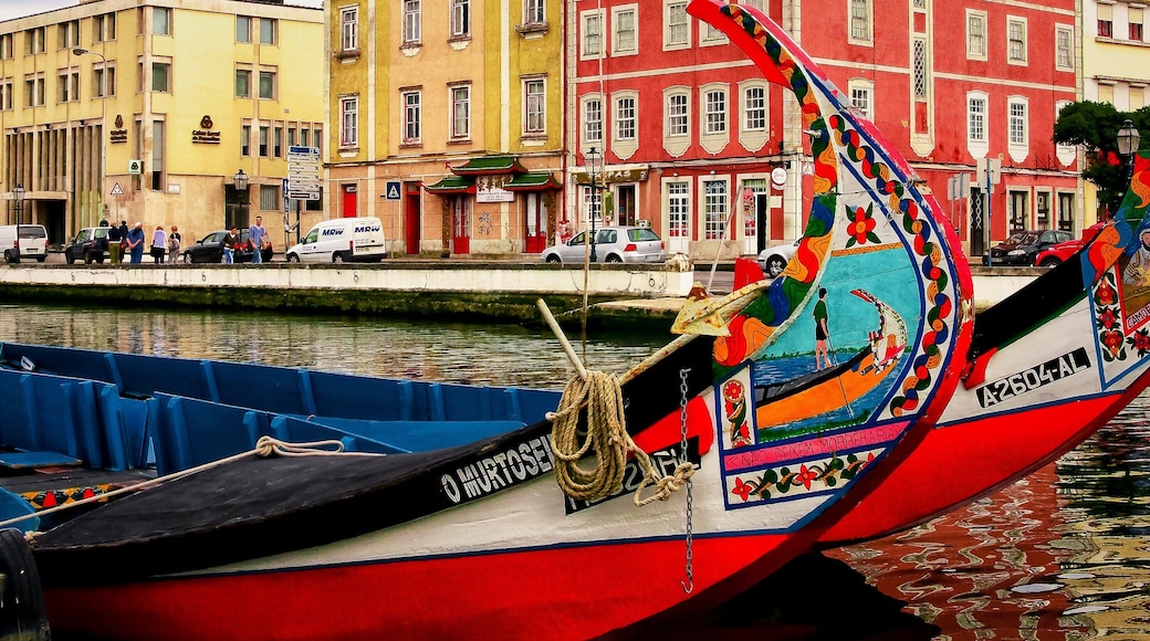 Moliceiro boats, Aveiro, Portugal