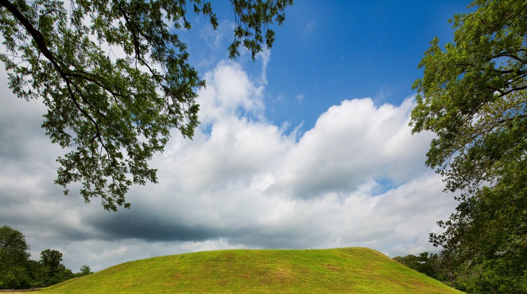 Emerald Mound, Natchez Trace Parkway, Tennessee and Mississippi, USA, Mississippi