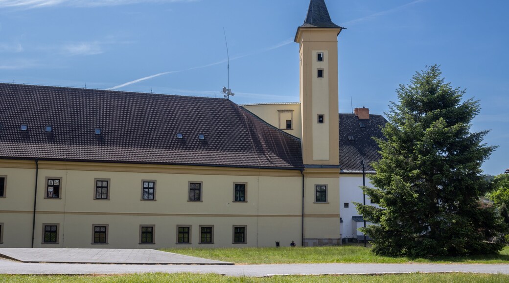 Castle with tower in Zabreh, Czech republic