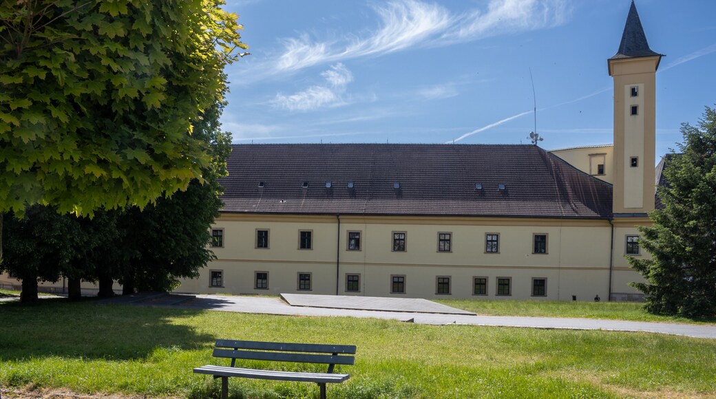 Castle with tower in Zabreh, Czech republic