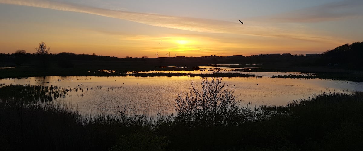 A sunset over a calm lake with silhouettes of trees and wind turbines in the background.