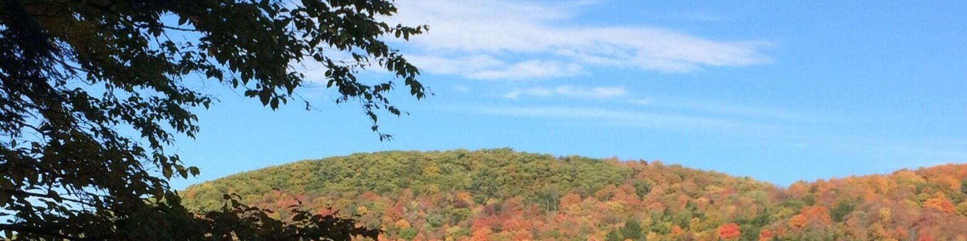 Don't miss the Quebec's Fall Colors in 2017! Book your trip now ! #lifeatexpedia