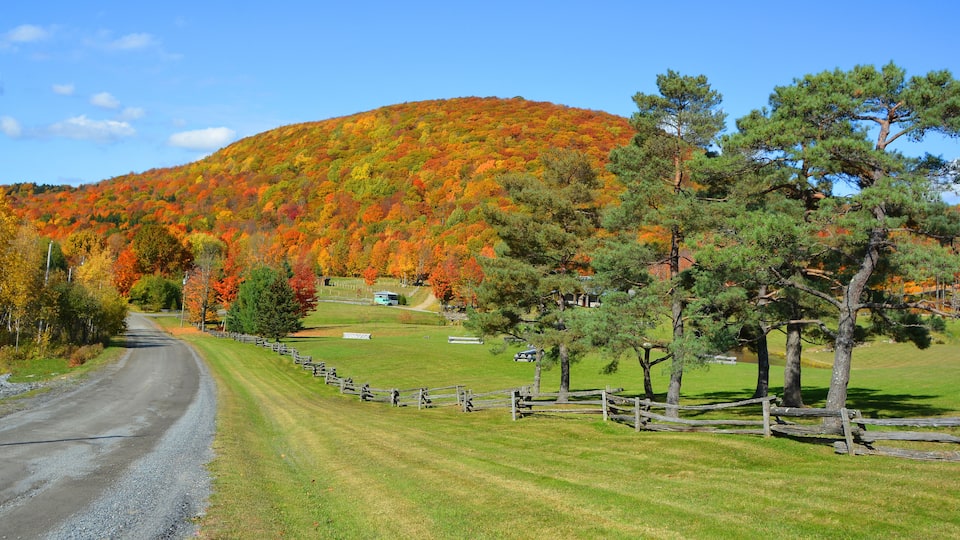 A rural road curving through a grassy field with a wooden fence, surrounded by trees with autumn foliage.