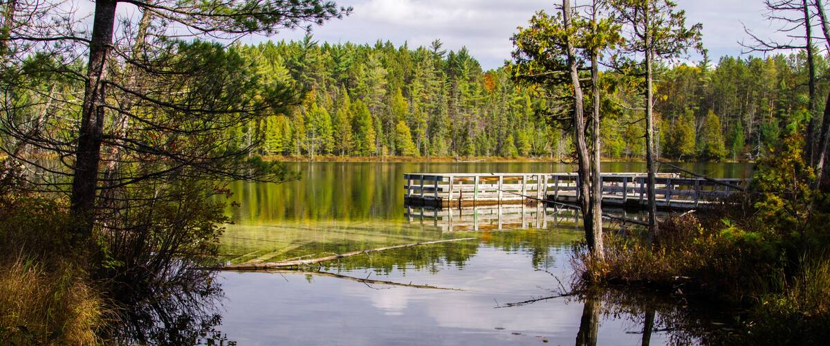 Ein ruhiger See, umgeben von dichtem Wald, mit einem hölzernen Steg, der sich ins Wasser erstreckt.