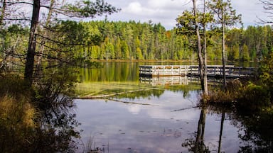 Ein ruhiger See, umgeben von dichtem Wald, mit einem hölzernen Steg, der sich ins Wasser erstreckt.