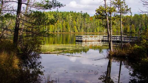Un lago calmo circondato da una fitta foresta, con un molo di legno che si protende nell'acqua.