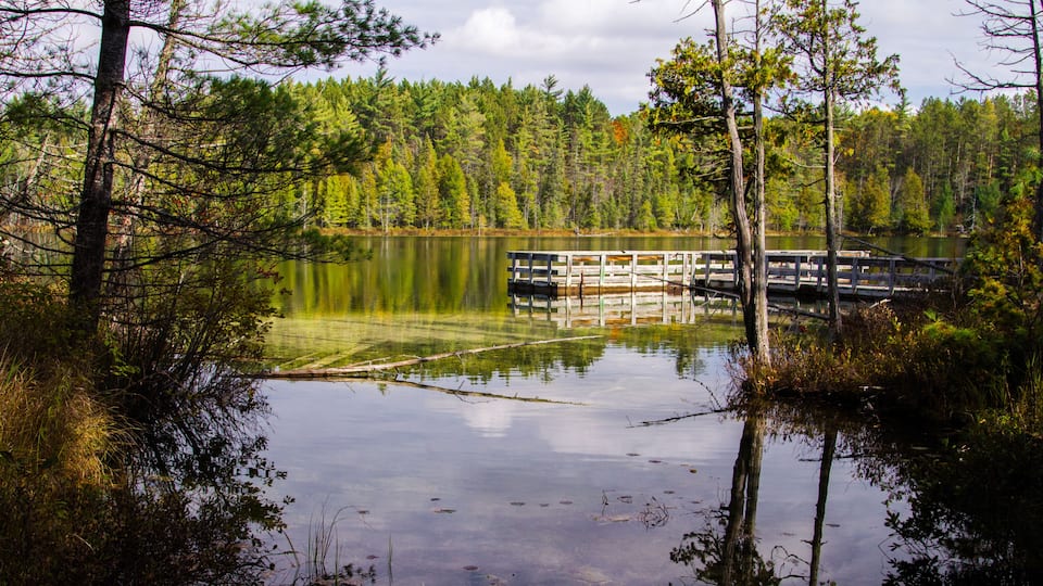A calm lake surrounded by dense forest with a wooden dock extending into the water.