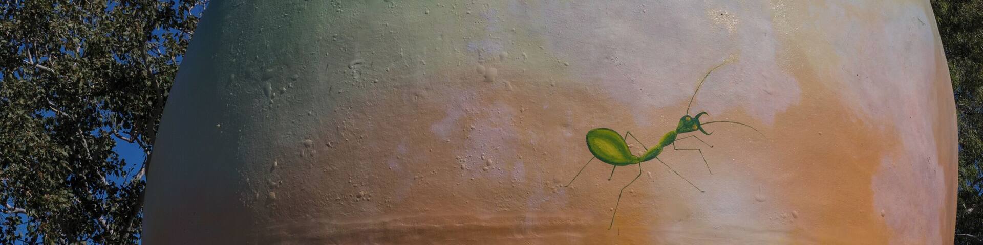 The Big Mango is located at Bowen Visitor Information Centre. This is just one big thing among other big things in Australia.
For instance there is the Big Prawn, the Big Pineapple, the Big Banana, the Big Captain Cook etc. According to Wikipedia there are more 150 big things here. All every cheesy.