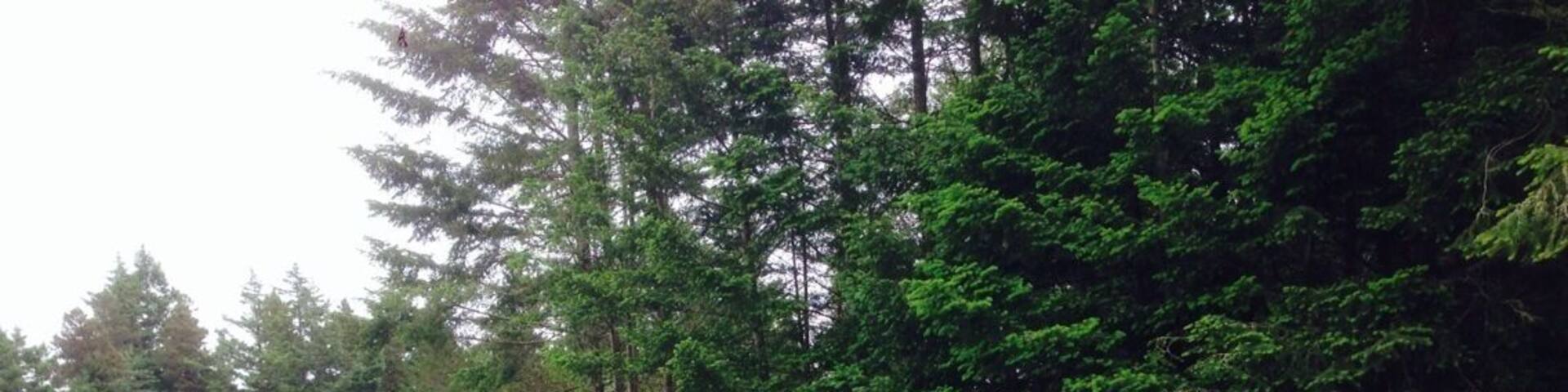 Grab a loaner club, drop a few bucks in the box, and play a few hand-hewn holes on this fun course built in the owner's backyard.