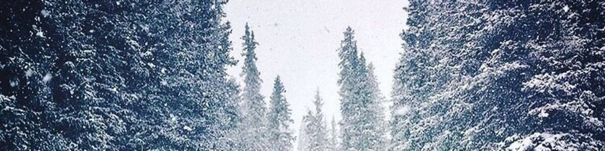 The woods are lovely, dark and deep. But I have promises to keep, and miles to go before I sleep.
Robert Frost #adventure #mountains #skiing