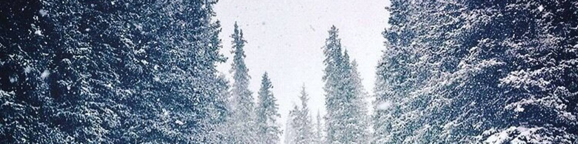 The woods are lovely, dark and deep. But I have promises to keep, and miles to go before I sleep.
Robert Frost #adventure #mountains #skiing