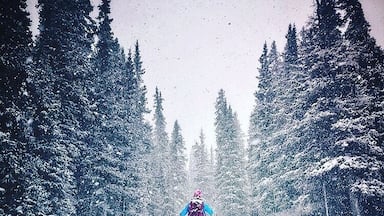 Uma floresta coberta de neve com um esquiador ao longe.