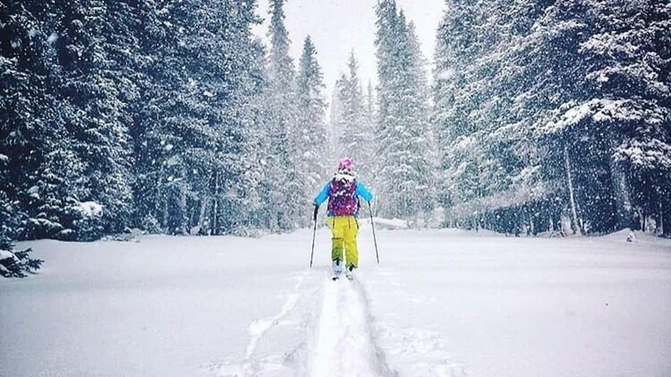 A snowy forest with a skier in the distance.