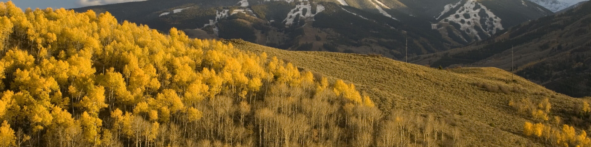 Paisagem montanhosa com folhagem amarela e picos nevados.