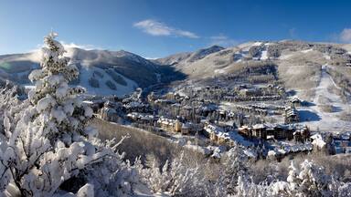 Un pueblo cubierto de nieve con pistas de esquí y edificios.