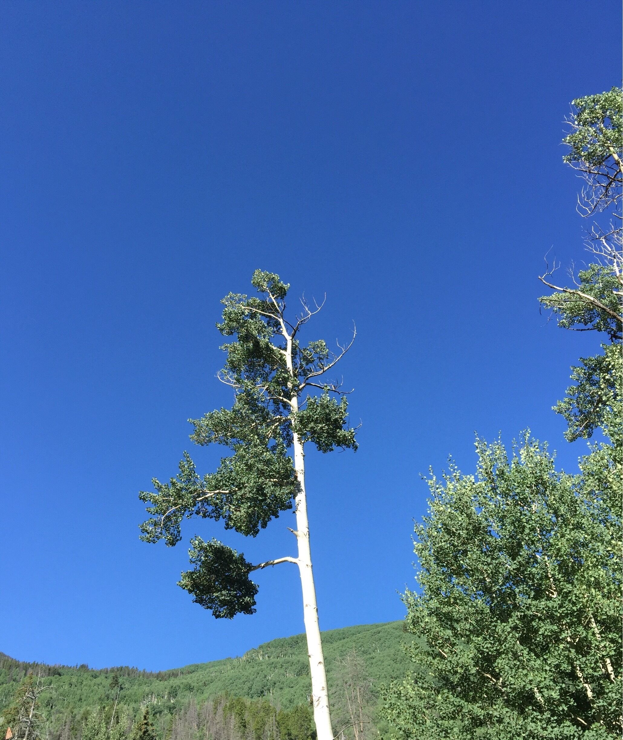 Rockies and the West.
