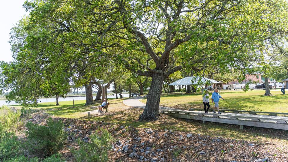 A large tree in a park with a walking path, a picnic area, and a body of water in the background.