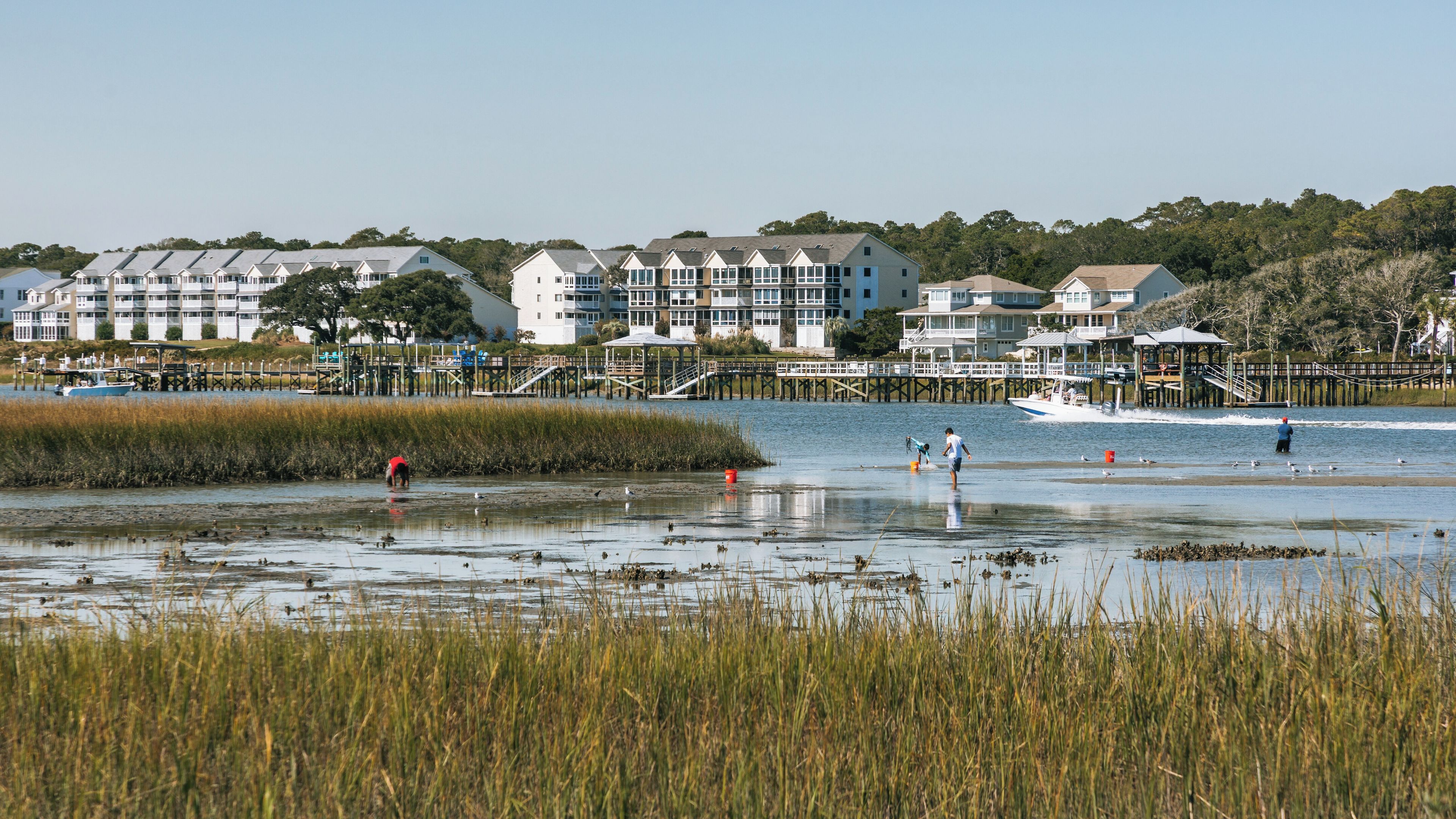 A waterfront with houses, a pier, and people engaging in water activities.