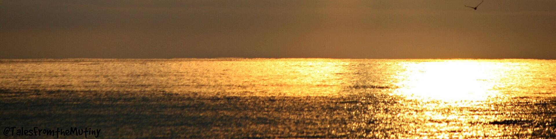 One of the quieter beaches on the coast of North Carolina...and quite a contrast to the touristy Myrtle Beach which is just south of Ocean Isle #beach ...if you like to be the only one on the beach watching the sunrise (save for a few fishermen and pelicans) this is the place to be...