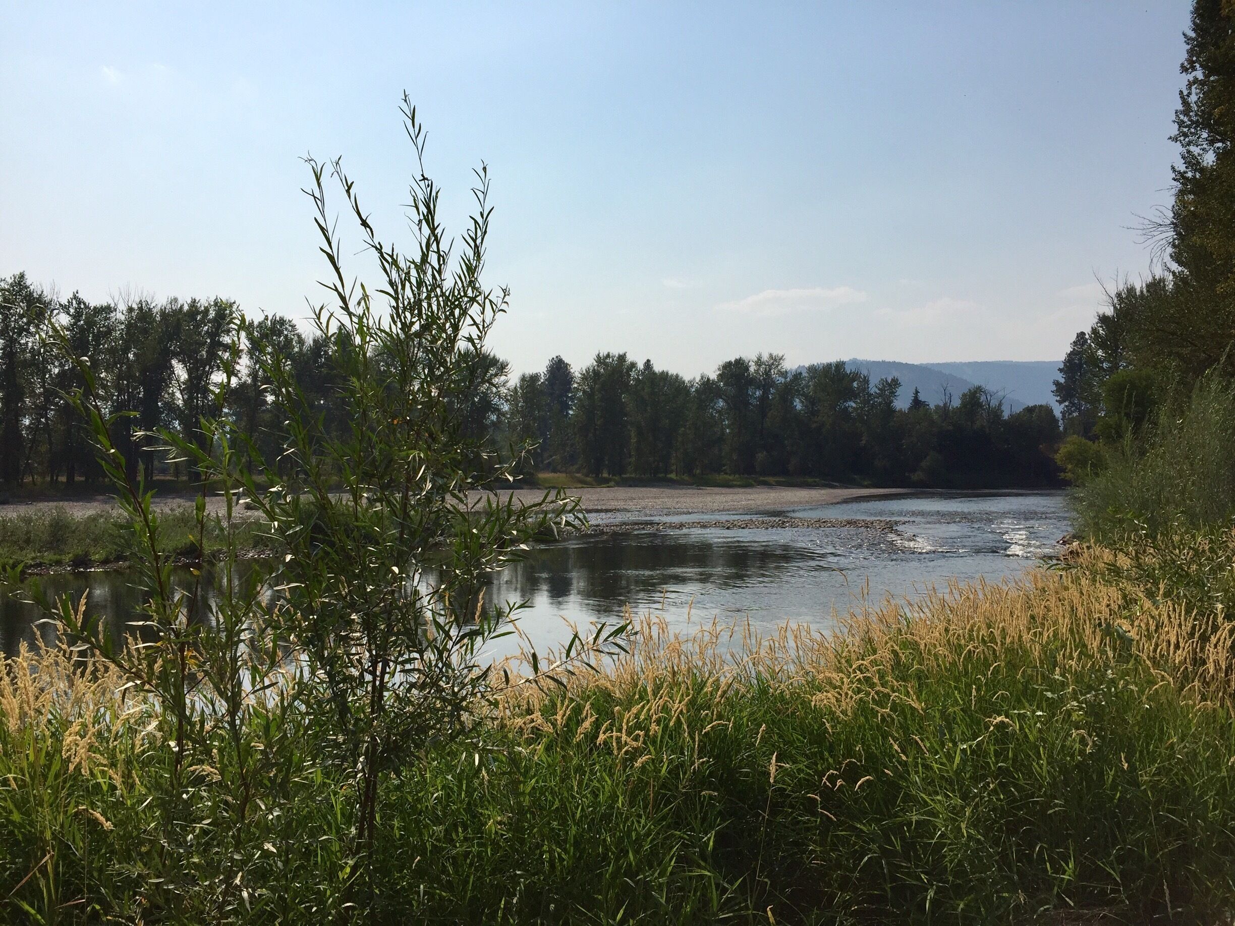 The view from the banks of the Kettle River. A very popular spot for tubing down the lazy river! 