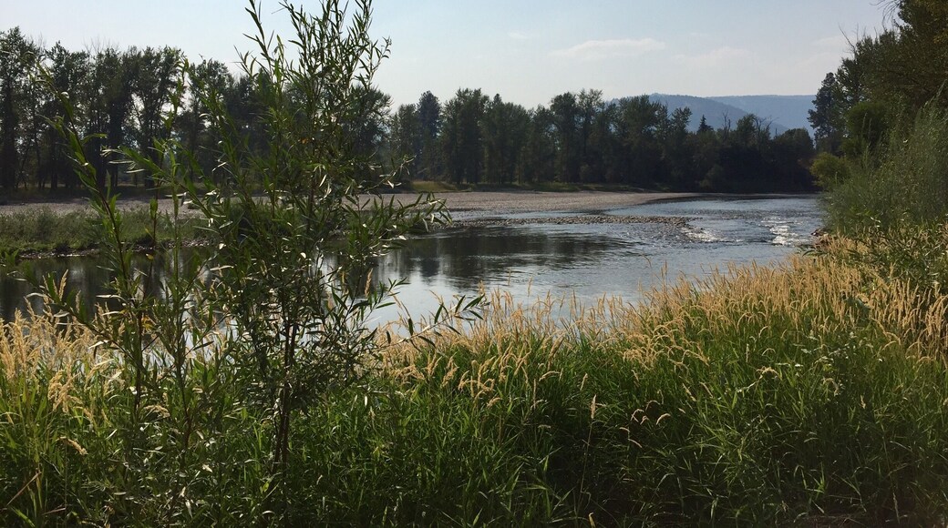 The view from the banks of the Kettle River. A very popular spot for tubing down the lazy river!