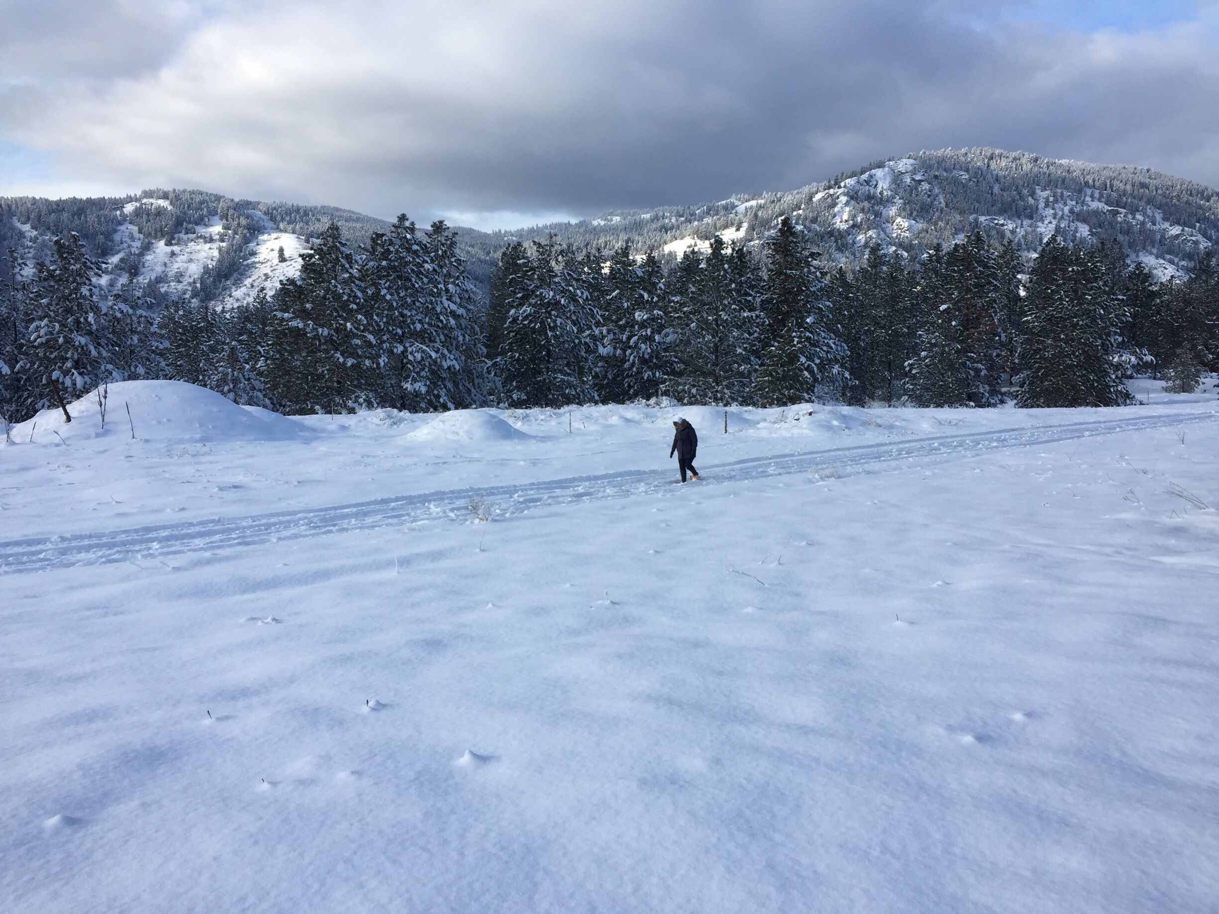 A great day for a snowshoe at Observation Mountain.