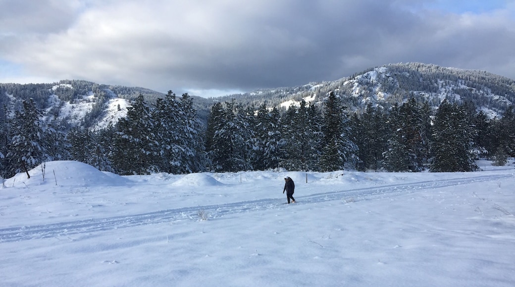 A great day for a snowshoe at Observation Mountain.