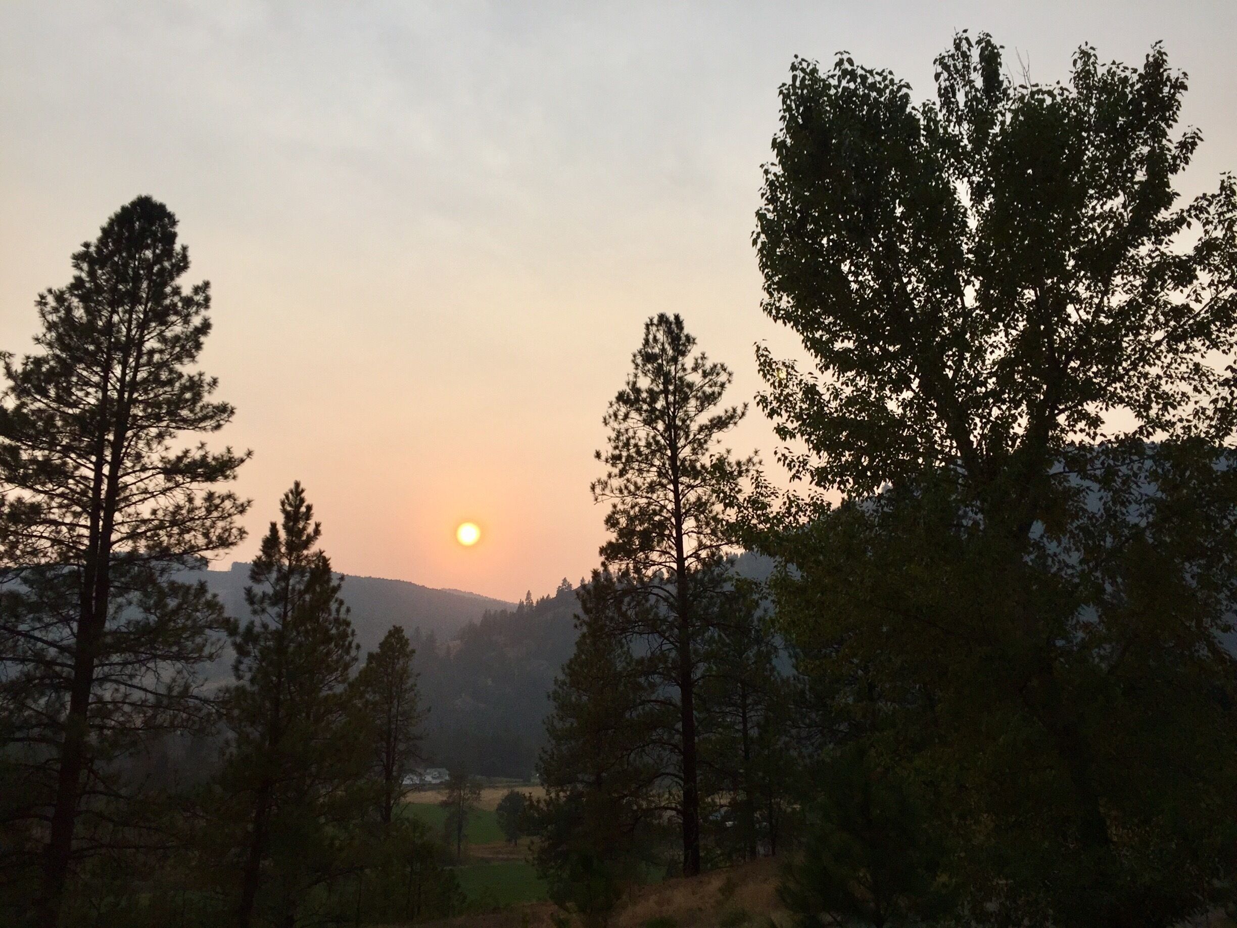 The smoke from the forest fires does make for some amazing sunsets! 