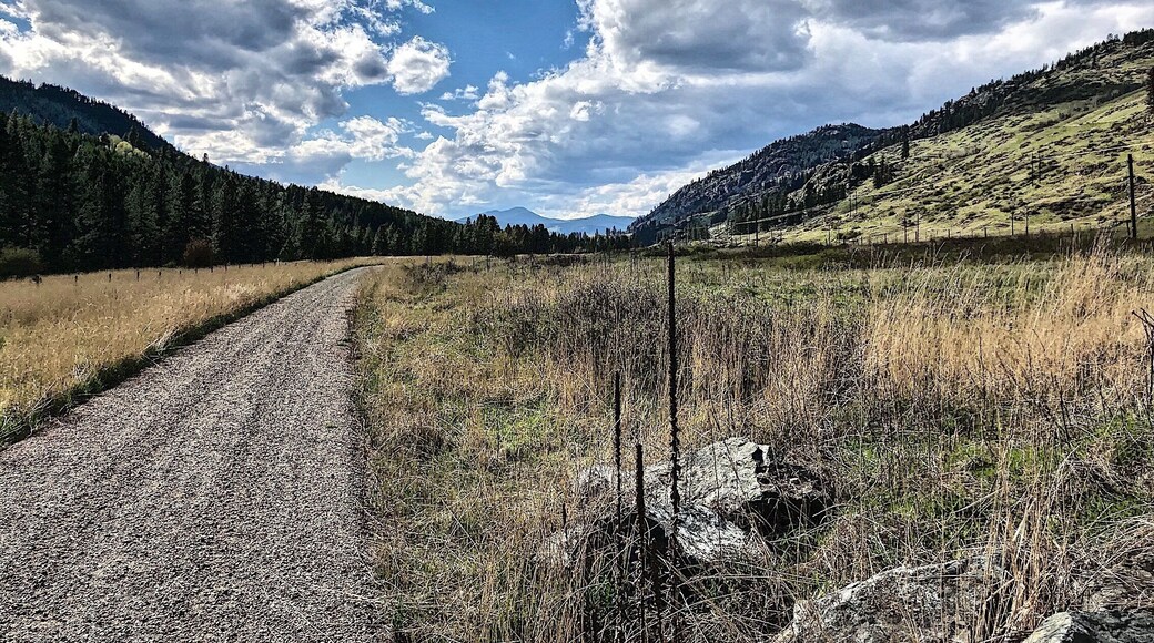 A great day on the Kettle River Rail Trail just west of Cascade, BC.