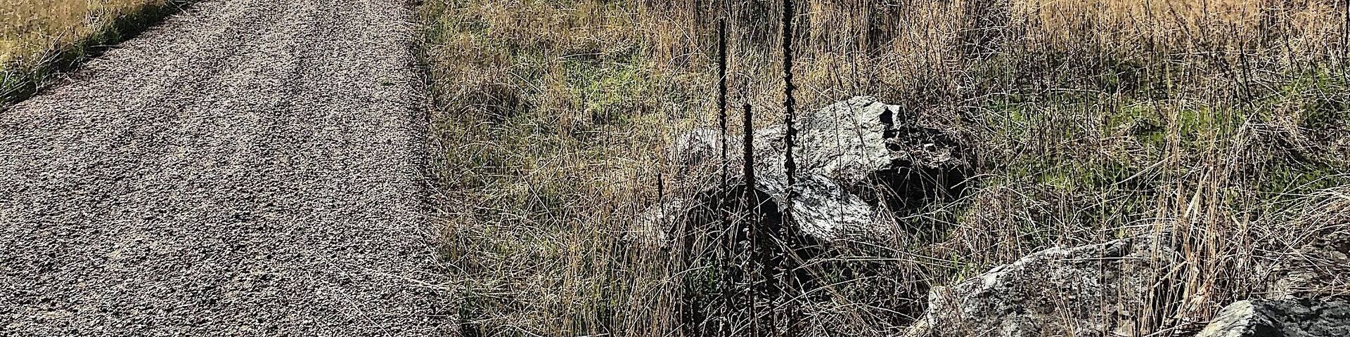 A great day on the Kettle River Rail Trail just west of Cascade, BC.